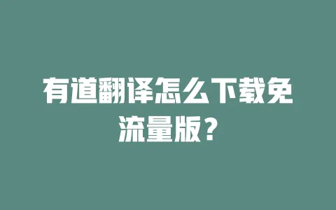有道翻译怎么下载免流量版? 一