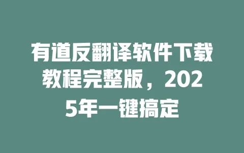 有道反翻译软件下载教程完整版,2025年一键搞定 一